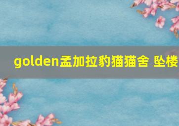 golden孟加拉豹猫猫舍 坠楼